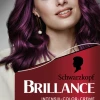 Schwarzkopf Brillance Intensiv-Color-Creme 859 Violette Wildseide 2 Schwarzkopf Brillance Intensiv-Color-Creme 859 Violette Wildseide -Always® shop MAM 10358527 SHOP IMAGE 1.4