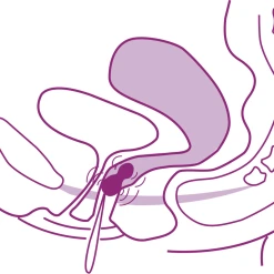 Elanee Beckenboden-Trainingshilfe – Phase II -Always® shop MAM 3810414 SHOP IMAGE 1.4