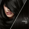 Syoss Professional Performance Permanente Coloration 1_1 Schwarz -Always® shop MAM 6038997 SHOP IMAGE 2.3