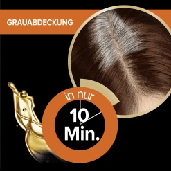 Schwarzkopf Diadem Ansatzset Ansatz-Kaschierung A3 Rotbraun 30 Schwarzkopf Diadem Ansatzset Ansatz-Kaschierung A3 Rotbraun -Always® shop MAM 8299619 SHOP IMAGE 1.6