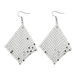 Accessories Ohrhänger In Silber